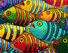 Fancy Fishes
Original